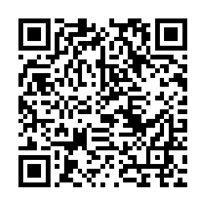 可没想到自己主家派系在十五军竟然被分家压的这般喘不过气来二维码生成