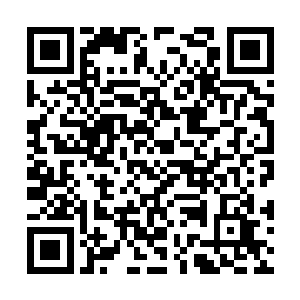 可现在怎么看叶秋都像个普通不能再普通的正常人二维码生成