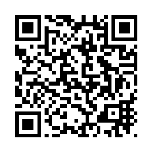 可现在按照媳妇姐姐和外婆的决定二维码生成