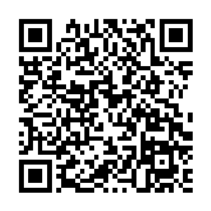 可现在裴元灏对我的厌恶――我也知道这件事的可能性不大二维码生成