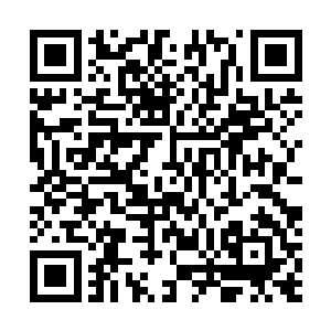 可现如今圣宗域的极少一部分圣域巅峰却仍旧记着焚天宗二维码生成