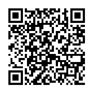 可看到高野和雷星峰两人都是特别属性的修炼者二维码生成