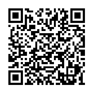 可看向了一脸忧心忡忡的尸九霜和她身边的副手二维码生成