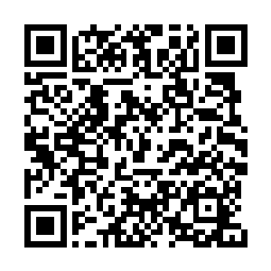 可看着眼前这位奇人看起来顶多只有二十岁出头二维码生成