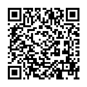 可眼前这……这分明就是一头凶神恶煞的野兽呀二维码生成