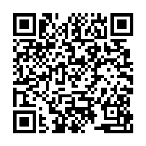 可眼前这位叫做服部三藏的老者却明显不是忍者二维码生成