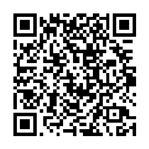 可笑的是他们一开始竟然认为对方不过区区绝世境二炼二维码生成