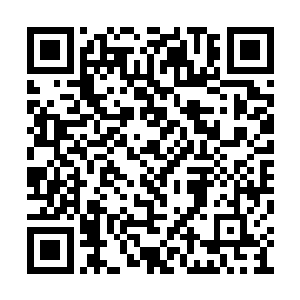 可维持住一丝清明的杨开却十几二十倍地感受到二维码生成