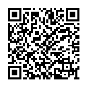 可能从前世记忆中搜个好法子帮助他弥补这缺陷二维码生成