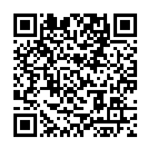 可能前一天还在你面前高谈阔论自己的成功之道的人二维码生成