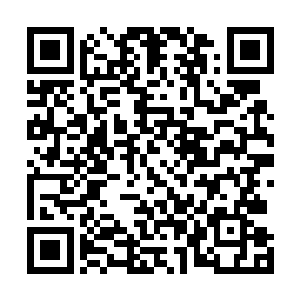 可能包括已经发狂了的杜英杰都觉得秦方无计可施的时候二维码生成