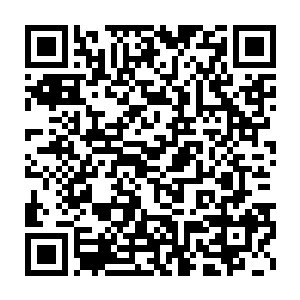 可能只有陪他们俩过来的那俩姑娘才知道林东这是怕被巴克再打一拳二维码生成