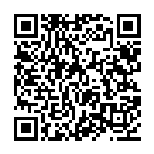 可能奸臣的谄媚比忠臣的眼里揉不得沙子更讨喜二维码生成