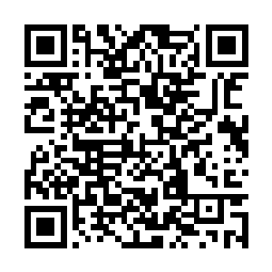 可能是力莲这个茬打的太过于突然太过于出乎意料二维码生成