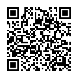 可能是因为路上的时候李大可并没有完全的走平坦的道路二维码生成
