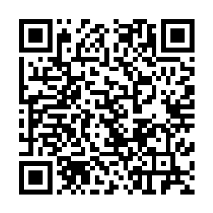 可能是她身上沾染的龙战的气息让两只狼闻到感觉到了安心二维码生成