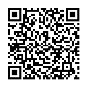 可能是由于咱们市的天门老四被人意外杀死的原因吧二维码生成
