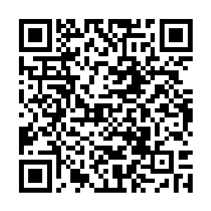 可能比出来一个二的手势对于她来说难度系数太高二维码生成