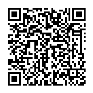 可自己这么苦心孤诣的来就这个古镇开发来屡次三番的视察提意见二维码生成