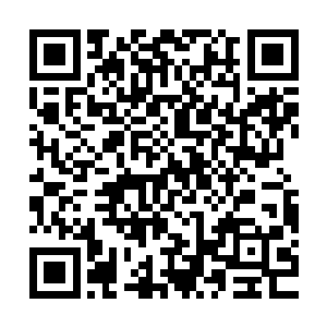 可若是让苗毅相信寇文蓝不惜把妹妹嫁给他纯粹是为他苗毅考虑二维码生成