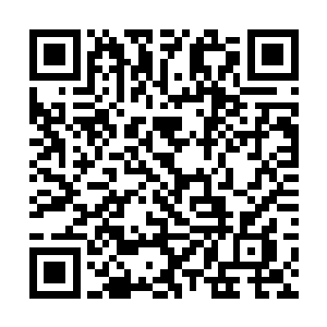 可要见到欢喜得先过了安妮大小姐和莫胖子的那一关二维码生成