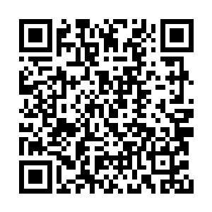 可视为一个庞大无比的由大量程序集合成的系统二维码生成