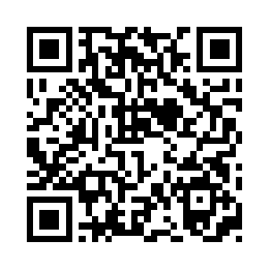 可谓是所有人都恨不得捧在手心上的瑰宝二维码生成