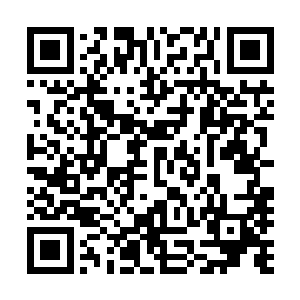 可还是有些实力惊天动地的强者在临死之前特意留下了传承二维码生成