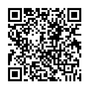 可这一句话嫂夫人叫得怪九郎师徒两脸上是一阵红一阵白二维码生成