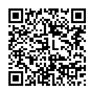 可这一撮出现在一位北湖省修士掌心之上的小火苗二维码生成