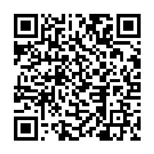 可这个教官承受了吉尔那么势大力沉的一拳竟然没事二维码生成