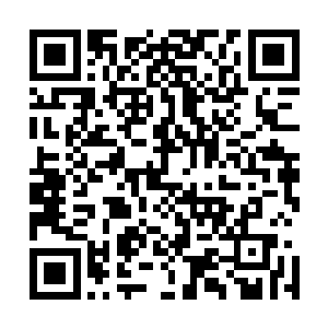 可这也可以看出雷欢喜对自己提供的食材是有多大的信心啊二维码生成