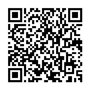 可这伢子以前朝我打眼色的时候都没有阴龙朝我摇头的时候多啊二维码生成