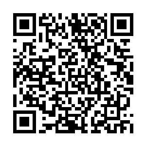 可这支深入云内的女真军马的动向却是完全不同二维码生成