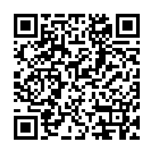 可那些血清里面还夹着一颗颗或灰或白或黑或黄圆圆的虫卵二维码生成