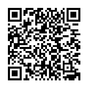 可那样的话这本书的猪脚应该叫龙傲天或者什么风什么云什么二维码生成