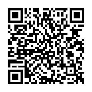 可邪皇圣者的气息却是给人一种截然不同的感觉二维码生成