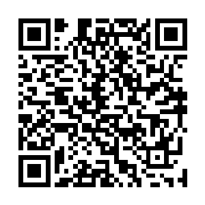可问题是今天可是大哥头一次把泰熙欧尼给带回家里面来二维码生成