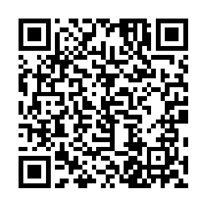 台下的学生们再一次的响起了如雷般的欢呼声以及尖叫声二维码生成