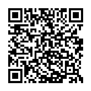 台下的这些选手们不但没有一个表现出不耐烦的二维码生成