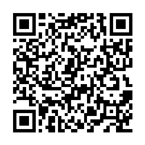 台下高声呐喊的男人们兴奋的像一匹匹嗷叫的狼二维码生成