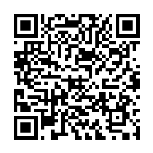 史家一名赫然有着咒法境修为独眼龙玄修站了出来二维码生成