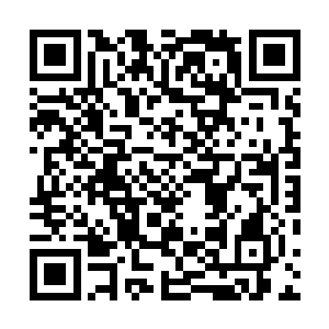 右手中的紫青剑灵的本源力量依然散发着纯净的本源剑气二维码生成