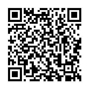 右手握着那把仙剑向着那个建木根茎狠狠地斩去二维码生成