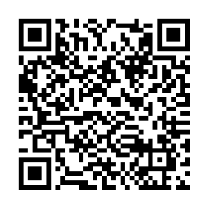 叶云简单给叶然介绍了一番这个头发白老者的身份二维码生成