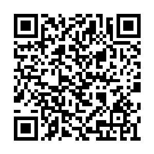 叶凡一把抓住了旁边陪护着的江雪焦急万分地道二维码生成