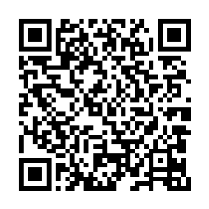 叶夫人连忙拉扯着早就吓得腿软的叶阑珊跑进来二维码生成