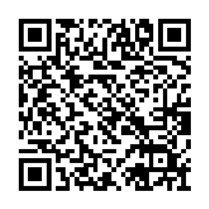 叶家军方面诸多高手出动次数却是越来越见频繁二维码生成