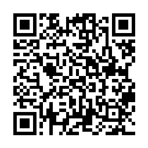叶家老宅的大门竟然被方炎施展出来的龙卷风劲气给击倒了二维码生成