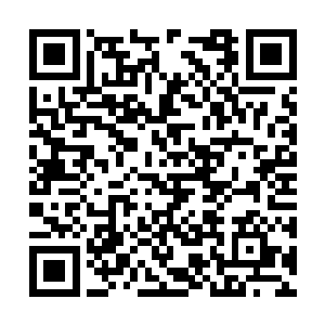 叶尘听到上古战技四个字时顿时心血澎湃惊容满面二维码生成